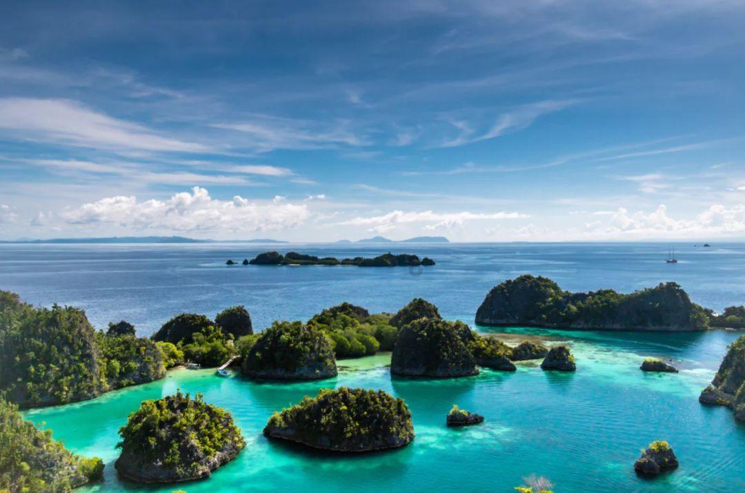 深海鱼救援